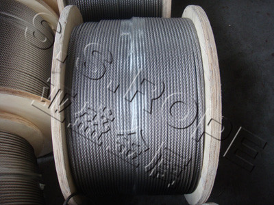 �����˿��